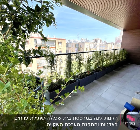 עציצים עם צמחים ירוקים על מרפסת